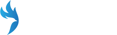 Digital Riders